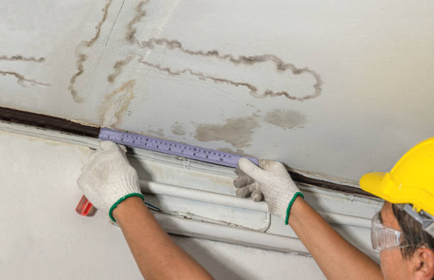 Reliable Mold Remediation contractor in Fort Sill, OK by Water Damage Irwin